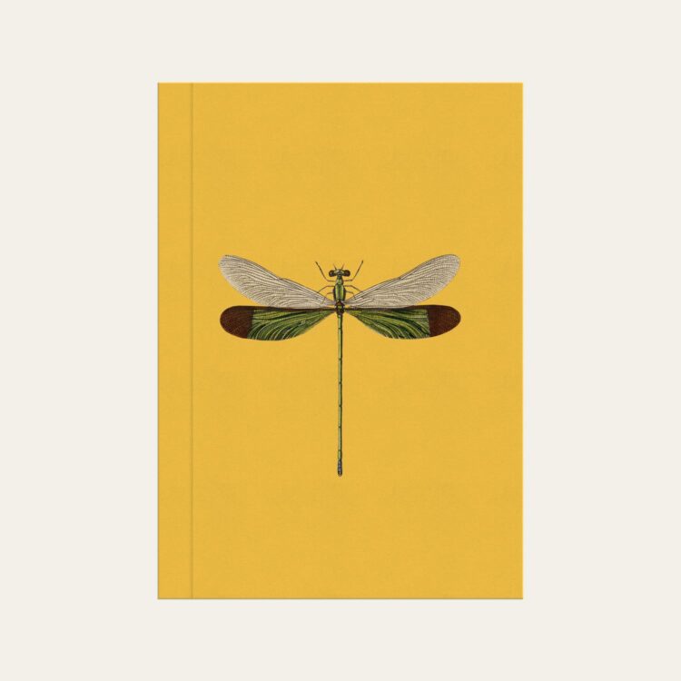Caderno brochura com ilustração de libélula minimalista