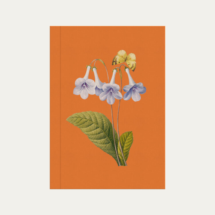 Caderno brochura laranja com ilustração de flor campanula Colmeias Design