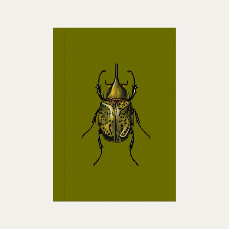 Caderno brochura verde com ilustração de besouro escaravelho Colmeias Design