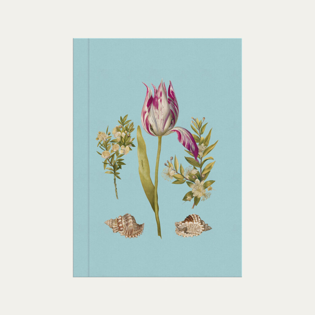 Caderno brochura azul com ilustração de flor tulipa Colmeias Design