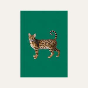 Capa caderninho de brochura A5 e A6 azul petróleo com ilustração de bengal